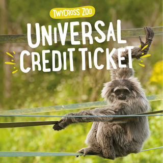 TZ Ticketing Gibbon(1200X1200)