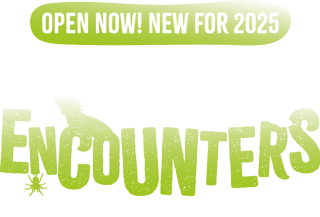 TZ CE Visual (Logo) (Open Now)