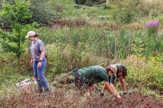Twycross Team managing our nature reserve