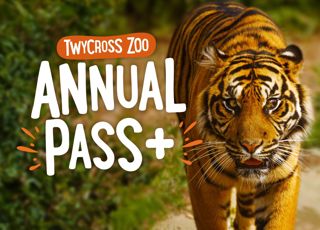 Annual Pass Plus