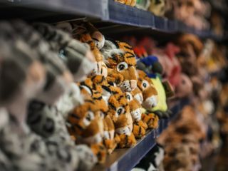 Eco-friendly plush in the gift shop at Twycross Zoo - Adam Kay